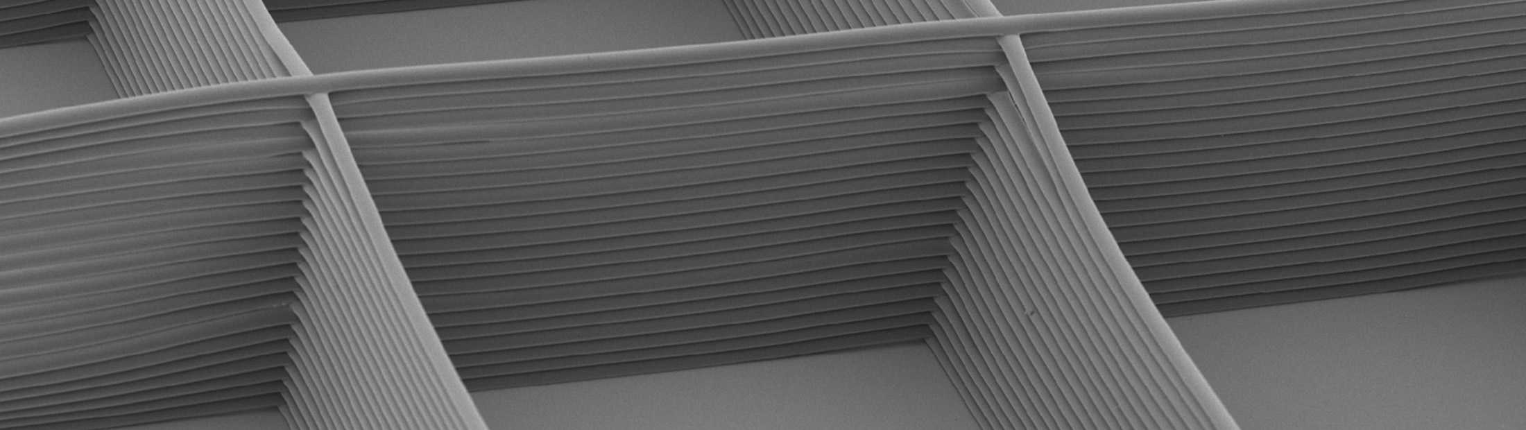 Microscopic 3d printed grey grid used for growing cells
