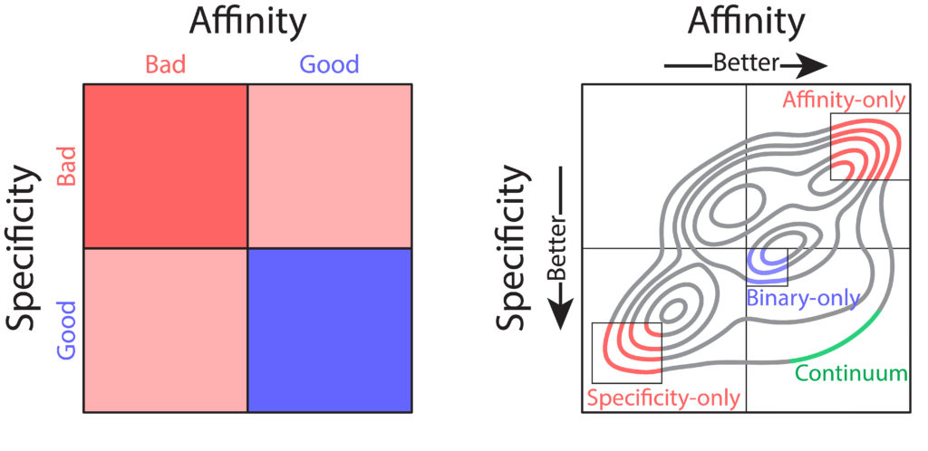 Two graphs that chart Specificity versus Affinity.