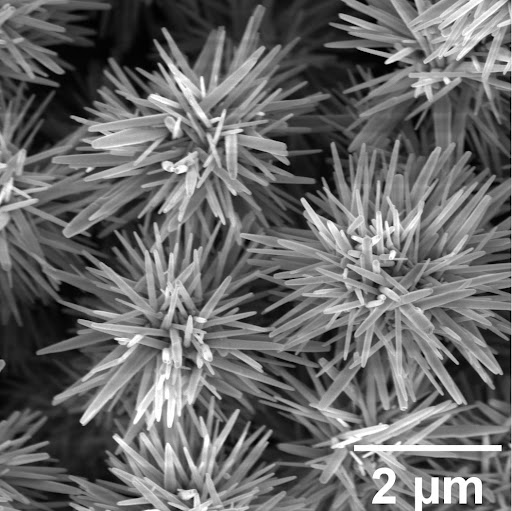 “Hedgehog” particles demonstrate new potential for green catalysis