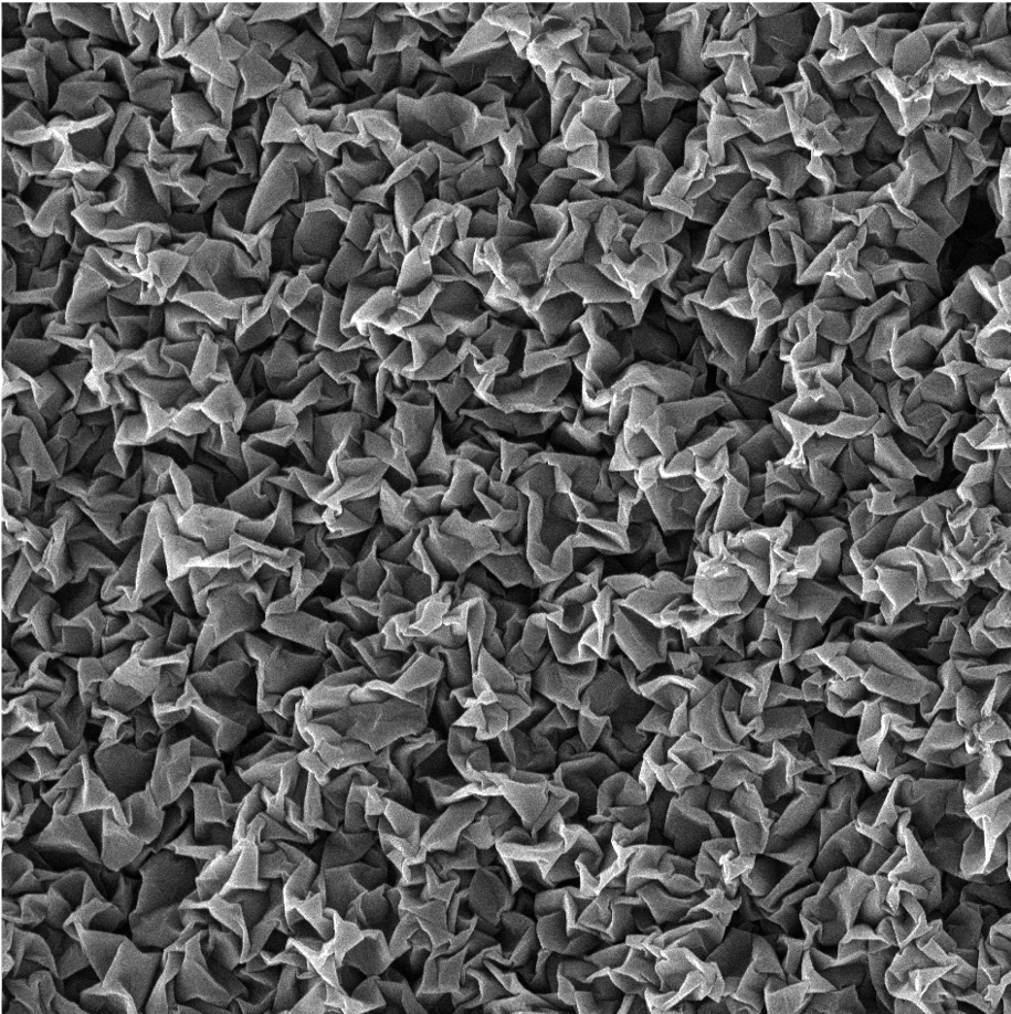 Nanoscale crumples of coating