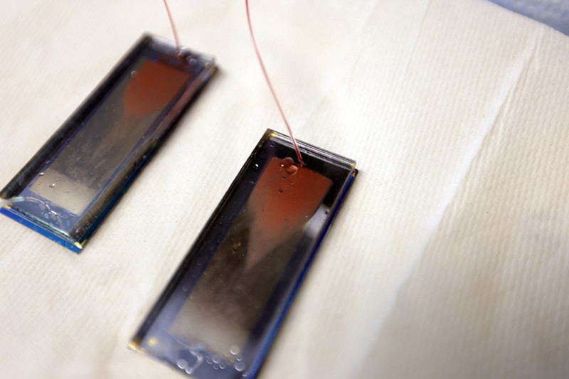 Two GO chips are laying on a benchtop lined with a paper towel. The chips resemble rectangular microscope slides encased in glass. The inlet line is red with blood, which has also flown into the chip and completely fills the top portion of the chips' internal compartments. Along the chip, a gradient of red to gold-gray shows that the blood has only progressed halfway through the chip.